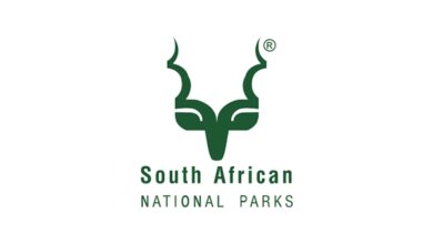 Management Level vacancies at SANParks (X2 Posts)
