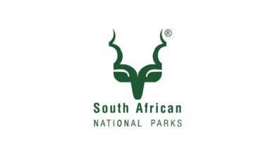 Camp Driver vacancy at SANParks 9 Camp Driver vacancy at SANParks