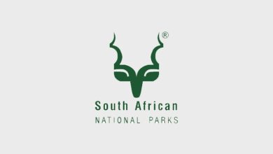 Handyman vacancy at SANParks (Apply with Grade 12) 4 Handyman vacancy at SANParks (Apply with Grade 12)