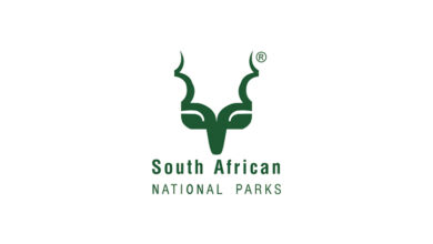 Karoo National Park Internship Programme 2025