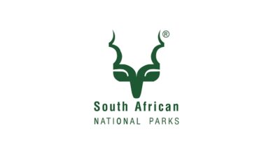 x3 Gate Guards vacancies at Mokala National Park 8 x3 Gate Guards vacancies at Mokala National Park