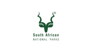 Internship Programme Opportunities ( Rondebosch & Tokai )