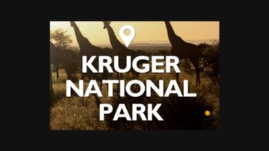 Labour Relations Clerk vacancy at Kruger National Park