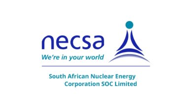 Necsa twelve (12) month internship opportunity