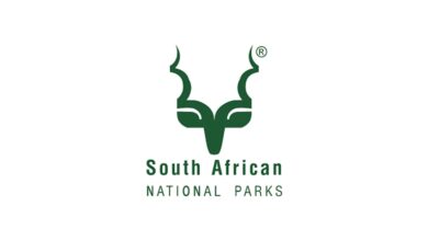 Two (2) Research Assistants vacancies at Kruger National Park