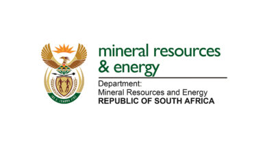 Registry Clerk vacancy at Department of Mineral and Petroleum Resources