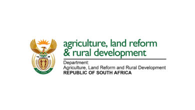 Four (4) Permanent Handyman vacancies at Department of Agriculture