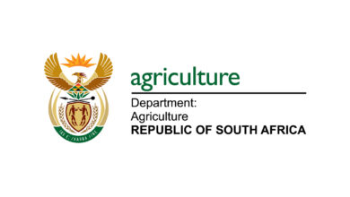 Metal Workshop Tradesman Aid vacancy at the Department of Agriculture