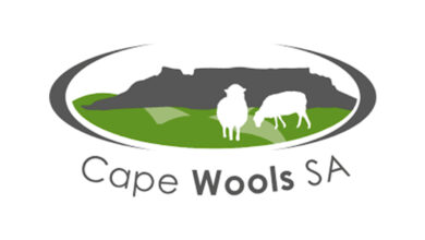 Cape Wools SA Bursaries for 2026 5 Cape Wools SA Bursaries for 2026