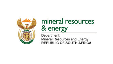 Entry Level Registry Clerk vacancy at Department of Mineral and Petroleum Resources