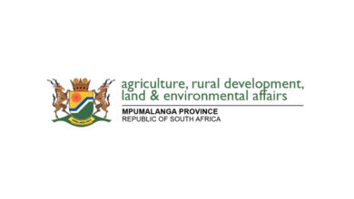 Messenger Driver vacancy at Department of Agriculture, Rural Development, Land and Environmental Affairs